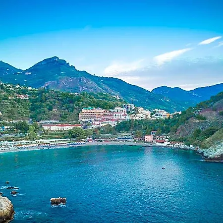 Panoramic